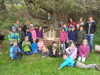 Kinder der Ferienbetreuung bauen Insektenhotel