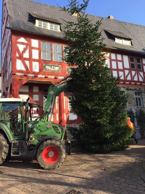Weihnachtsbaum in Niederbrechen