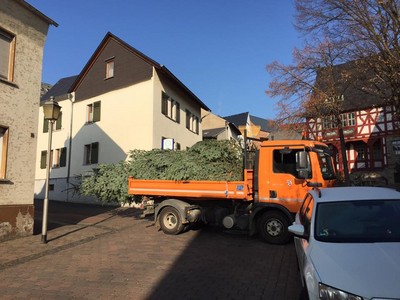 Weihnachtsbaum in Niederbrechen